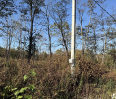 земля 30 сот Надеждинский район