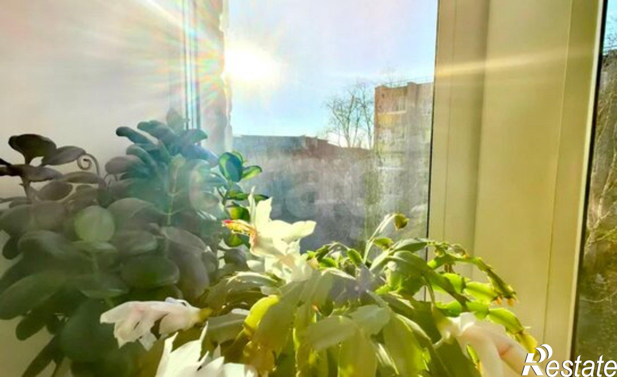 Купить квартиру за 8 000 000 рублей на проспект Горького, 19А