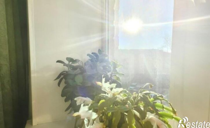 2-комн квартира проспект Горького, 19А,  д. 19А