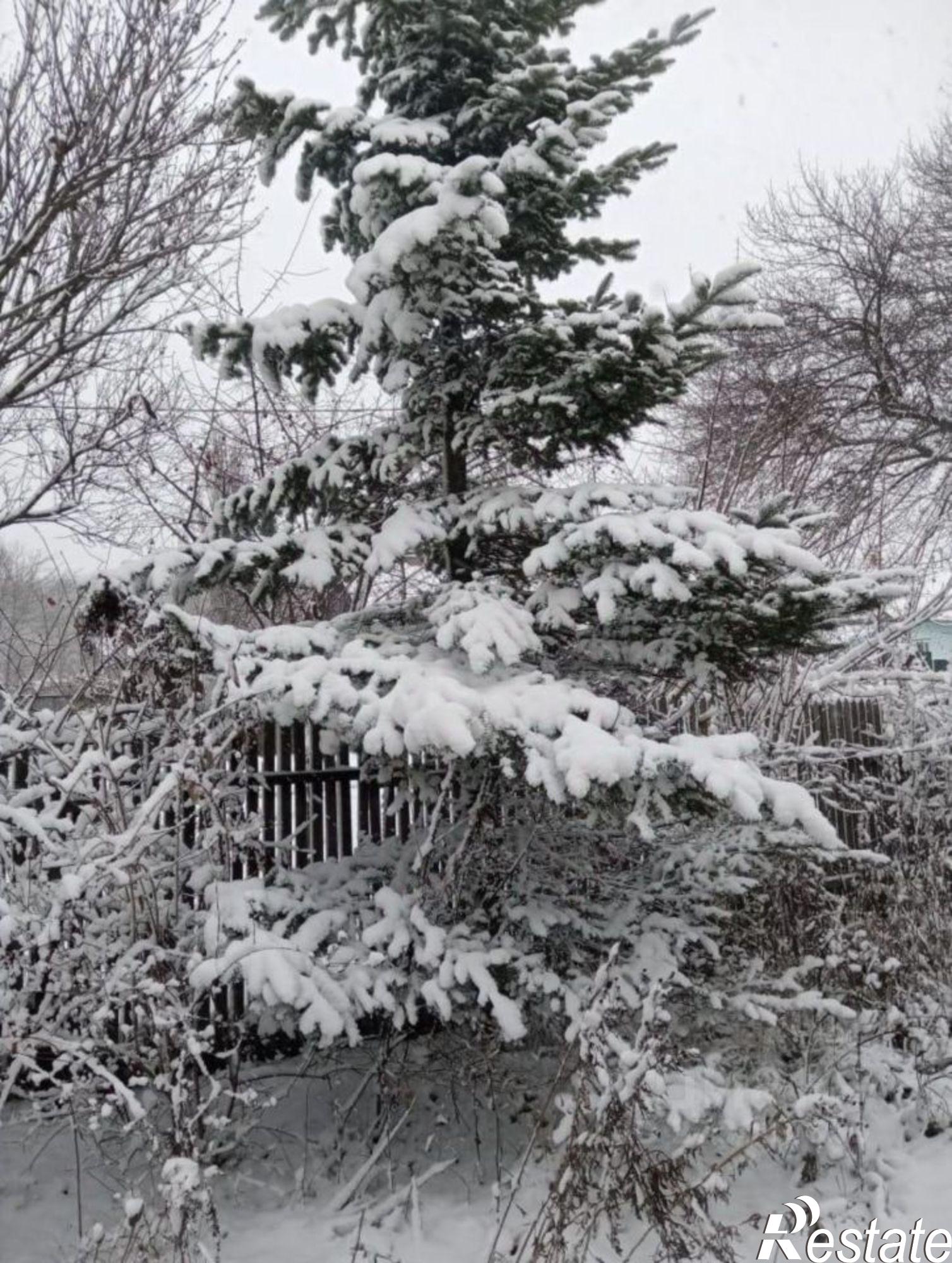 Купить дачу, дом, коттедж за 2 200 000 рублей на Алтайская улица, 15