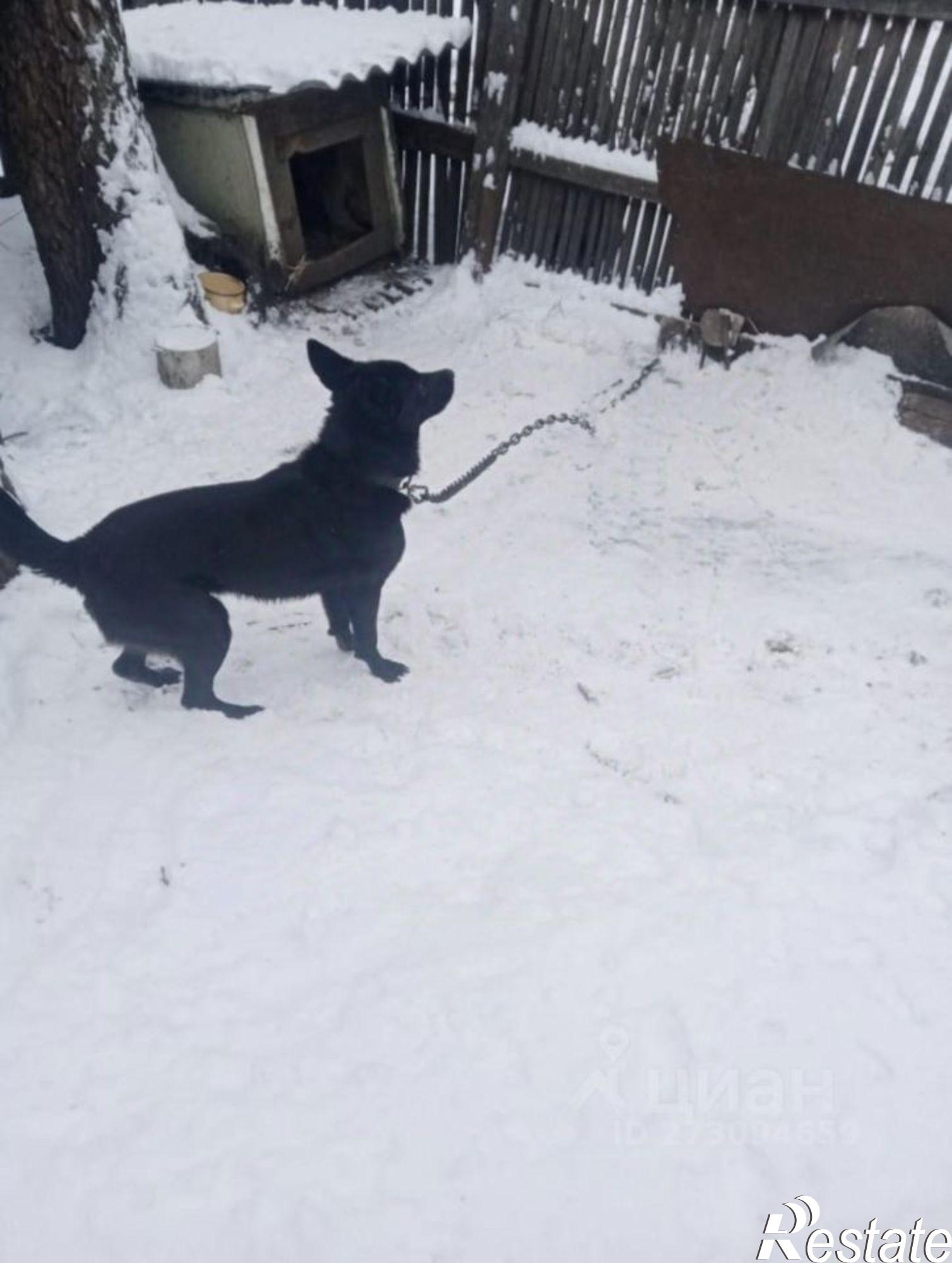 Купить дачу, дом, коттедж за 2 200 000 рублей на Алтайская улица, 15