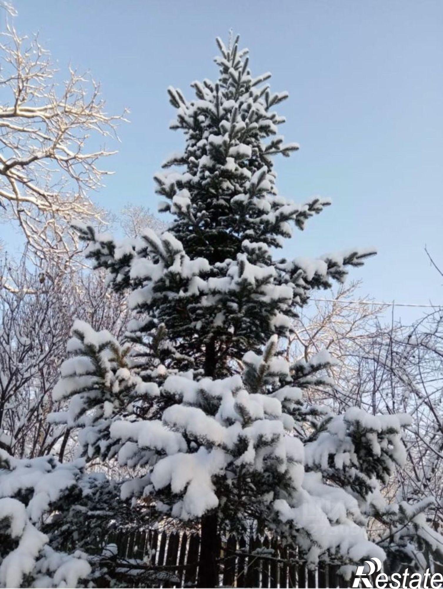 Купить дачу, дом, коттедж за 2 200 000 рублей на Алтайская улица, 15