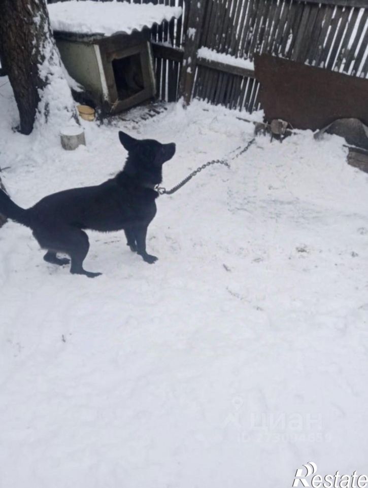 Коттедж/дом Алтайская улица, 15,  д. 15