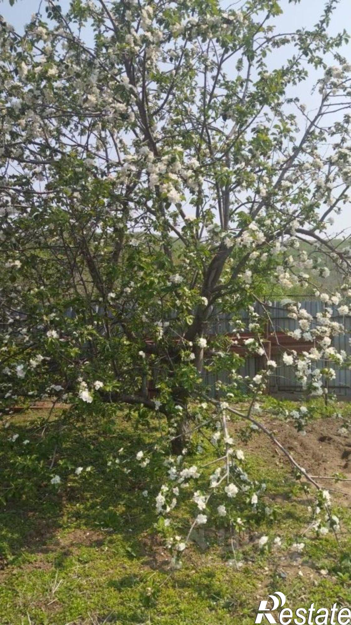 Купить дачу, дом, коттедж за 9 000 000 рублей на Партизанск