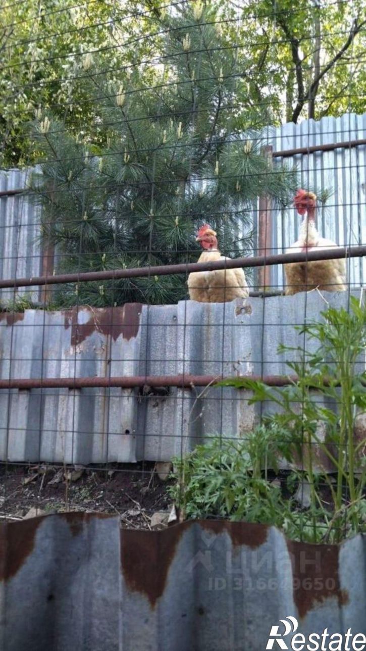 Коттедж/дом Партизанск